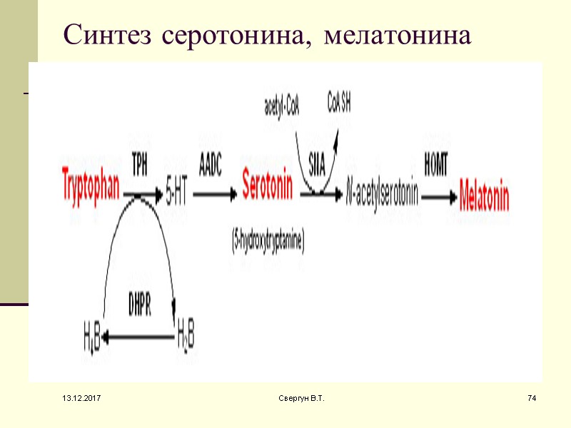 Синтез серотонина, мелатонина 13.12.2017 74 Свергун В.Т.
